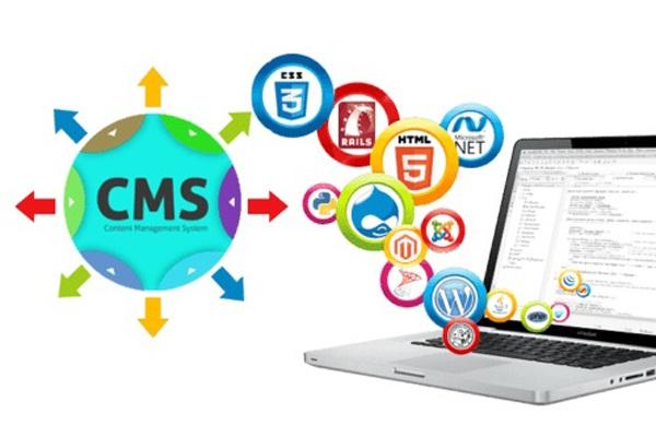 cms-website-development